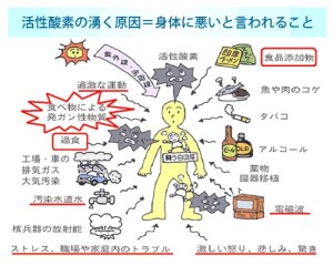 悪玉活性酸素がどう悪いか説明