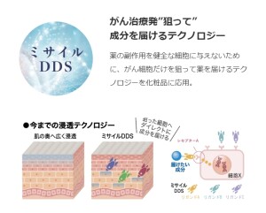 R.CODEミサイルDDS