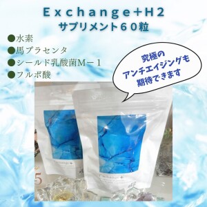 Exchange＋６０粒サプリ